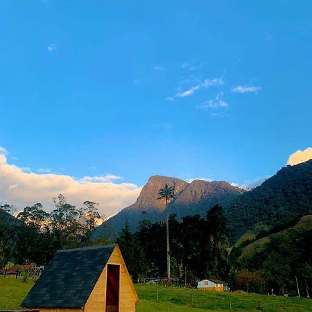 Refugio Nidos Del Condor Cocora 살렌토 외부 사진
