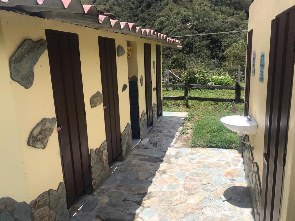 Refugio Nidos Del Condor Cocora 살렌토 외부 사진