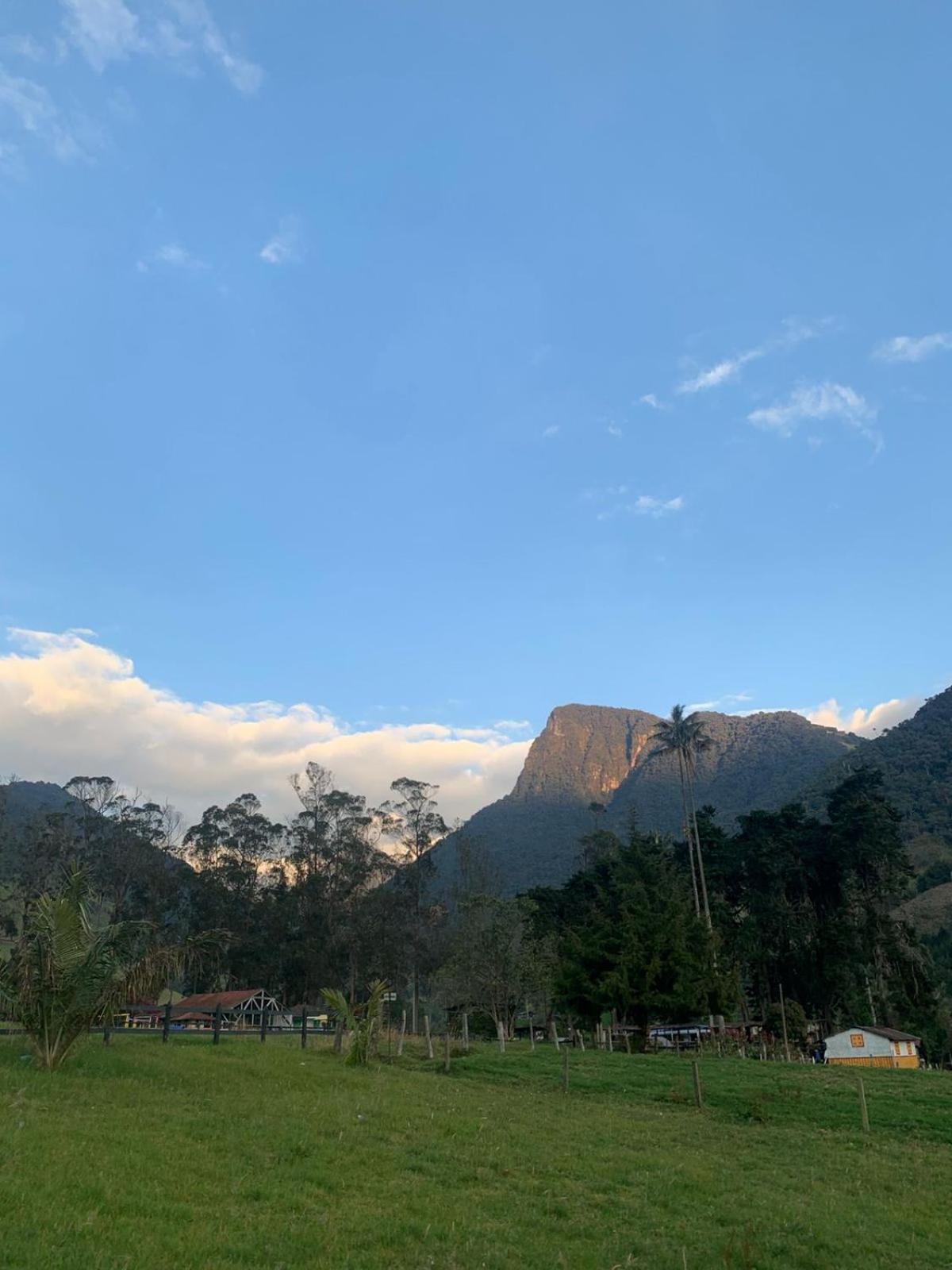Refugio Nidos Del Condor Cocora 살렌토 외부 사진