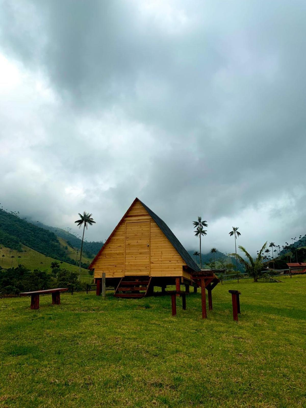 Refugio Nidos Del Condor Cocora 살렌토 외부 사진