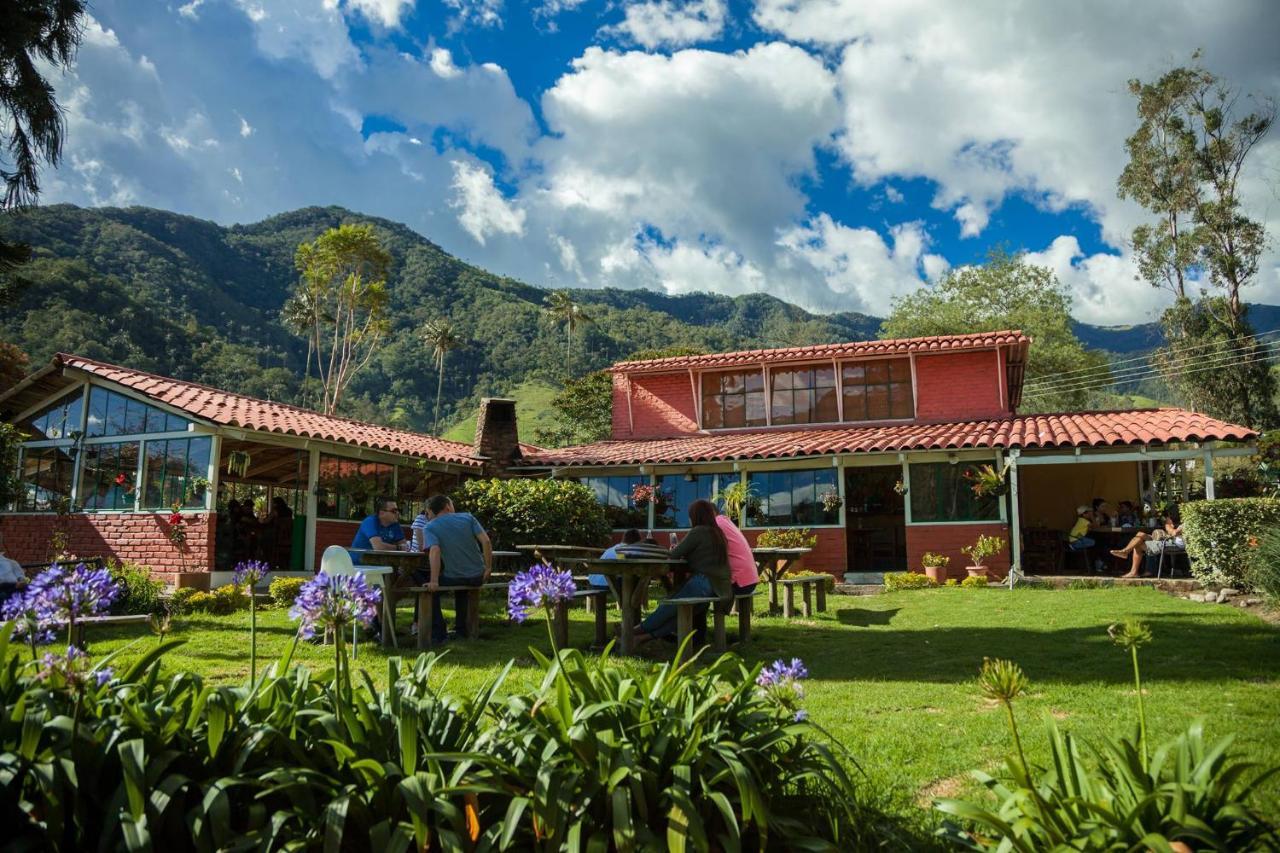 Refugio Nidos Del Condor Cocora 살렌토 외부 사진